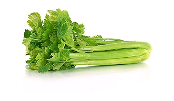 Green Celery