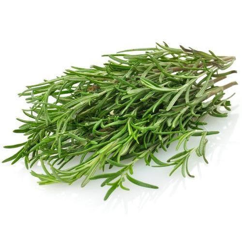 Fresh Rosemary